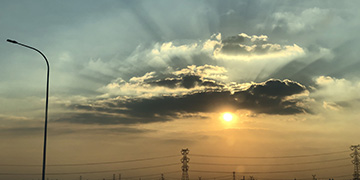 申扎小麦技术优势
